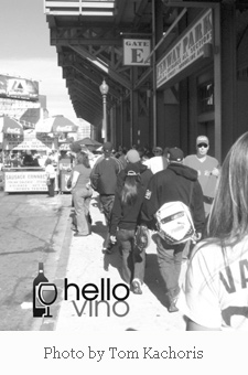 Hello Vino at Fenway